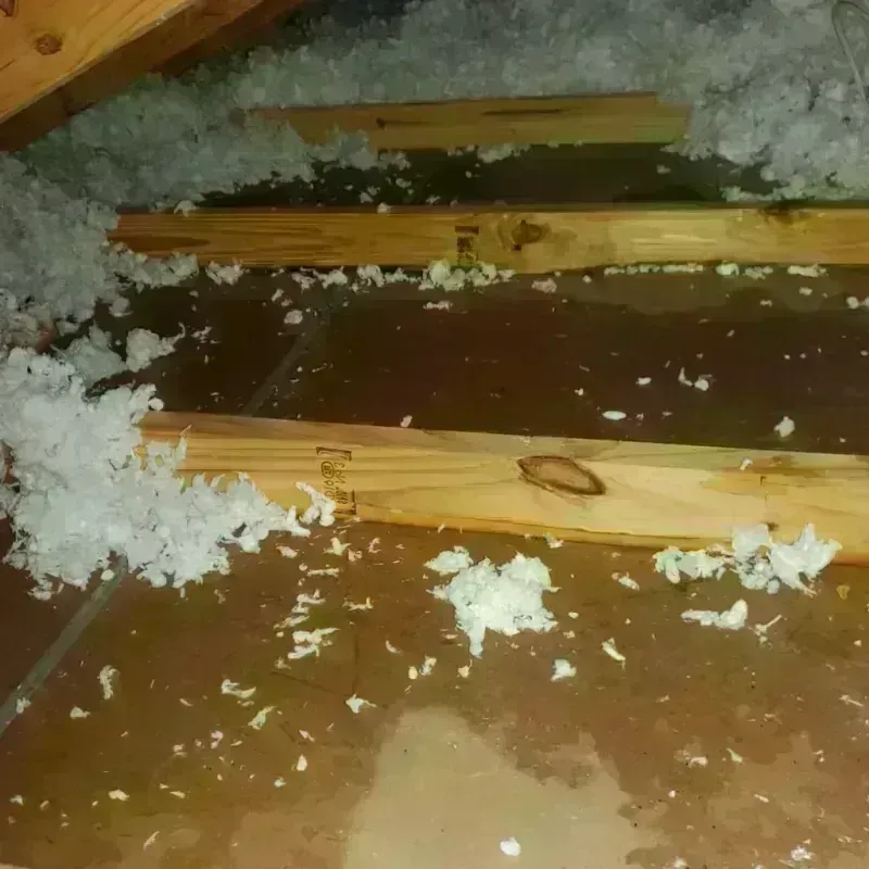 Attic Water Damage in Shafter, CA